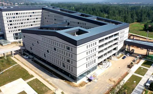 职业篮球运动员如何管理体型以提升表现_2